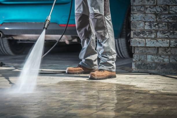 Best Soft Washing  in Alice, TX