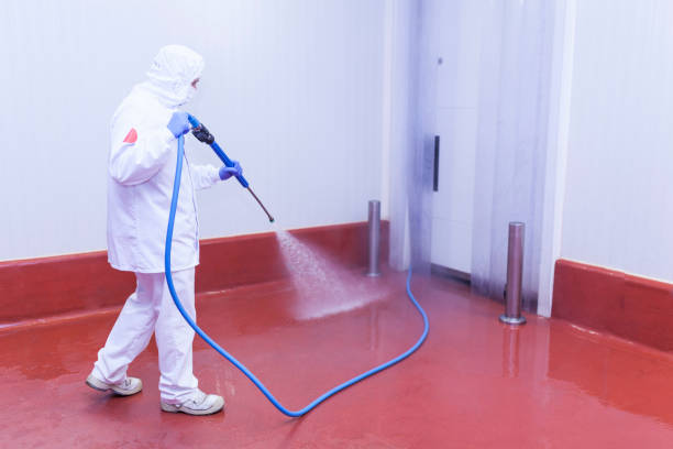 Best Sidewalk and Walkway Cleaning  in Alice, TX