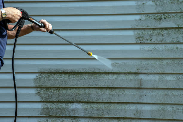 Best House Exterior Washing  in Alice, TX