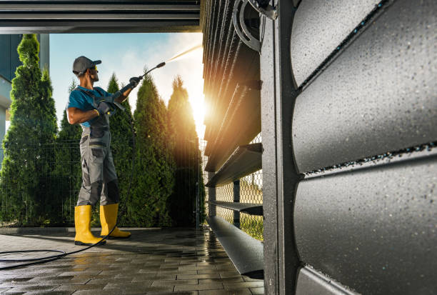 Best Patio and Deck Pressure Washing  in Alice, TX